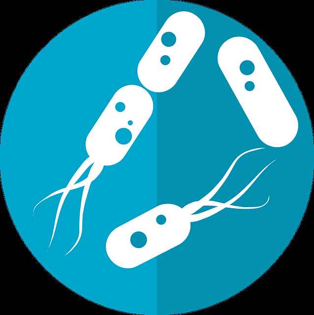 Jak utrzymać zdrowy mikrobiom skóry – sprawdzone sposoby