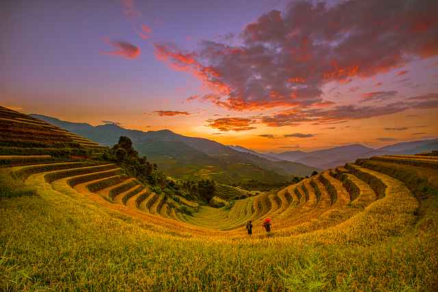 Jak przechowywać przewody i węże w kamperze z organizerami